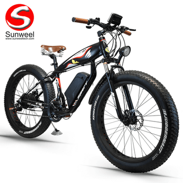 cruiser fat bike