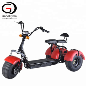 Double Removable Batteries 3 Wheel Electric Tricycle, 3 Wheels Electric Scooter with Fat Tires | Gaeacycle Citycoco Electric Scooter