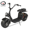 Citycoco Electric Scooter 45km/h EEC Approved 2 Seats 1500W 40Ah Battery 12 Inch Fat Tire | GaeaCycle