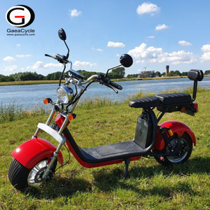 Most Popular 1000W 60V Electric Scooter Harley Citycoco CE Approved | GaeaCycle Electric Scooter City Coco