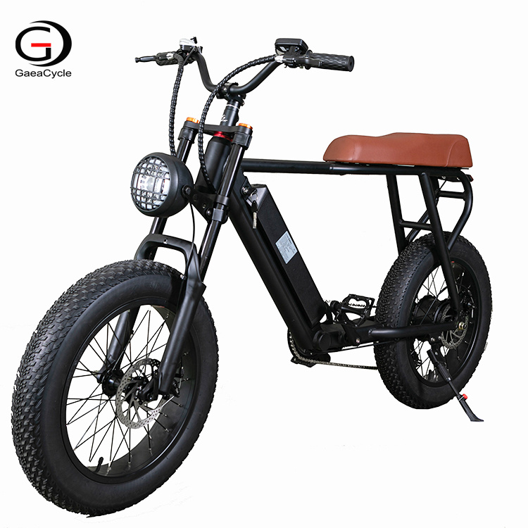 GaeaCycle Fat Tire Electric Bike, 20 