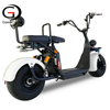Citycoco Electric Scooter 45km/h EEC Approved 2 Seats 1500W 40Ah Battery 12 Inch Fat Tire | GaeaCycle