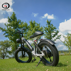 GaeaCycle Step Through Electric Bike, 20 Inch Fat Tire E Bike, 500W High Speed Motor, 15Ah Large Battery, Long Range All-terrain Ebikes