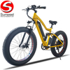 48v 750w Fat Tire Beach Cruiser Bicycle
