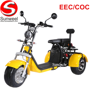  E-mark Powerful 3 Wheel EEC/COC 60V Electric Scooter for Europe